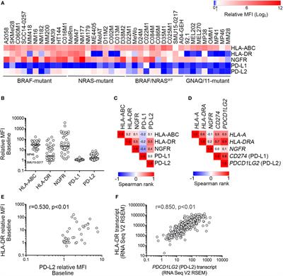 Interferon Signaling Is Frequently Downregulated in Melanoma